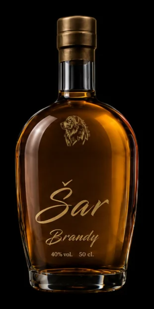 brandy-sar